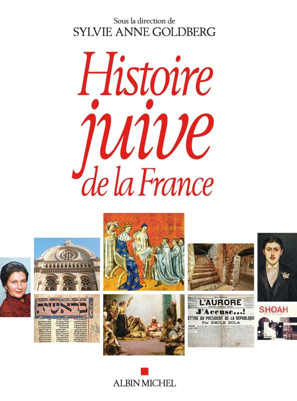 Couverture du livre Histoire juive de la France